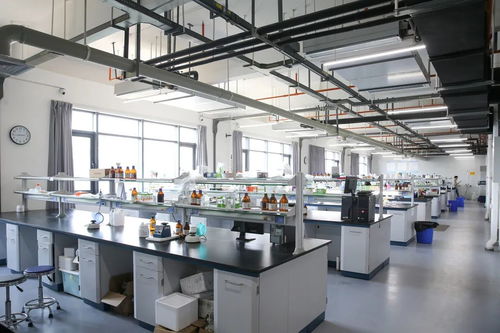 小天使集團 以創新科技引領健康與美的未來